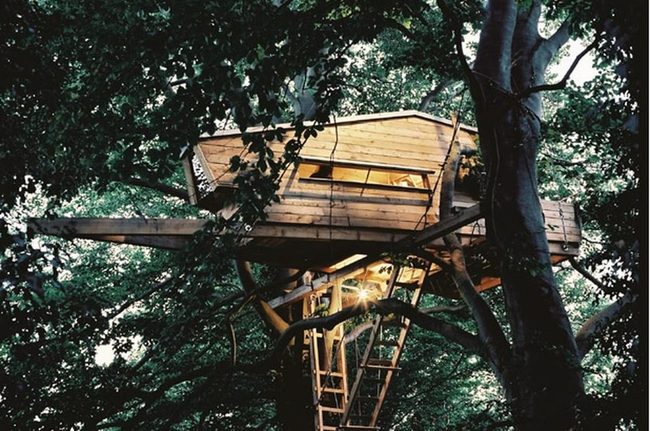 Wooden Treehouse At Dusk