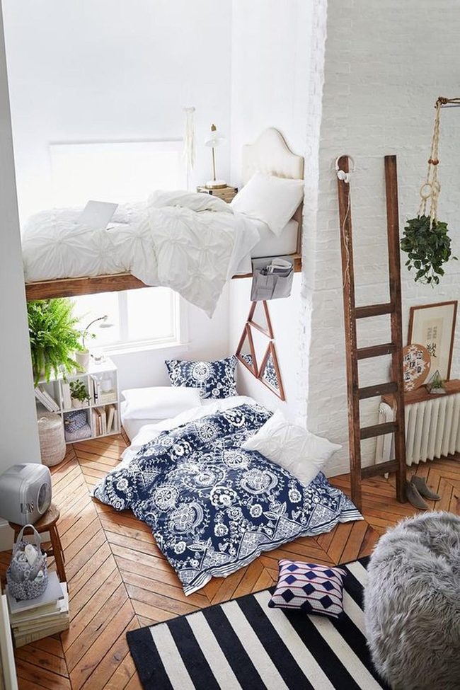 White Walls, Blue Accents, Green Plants
