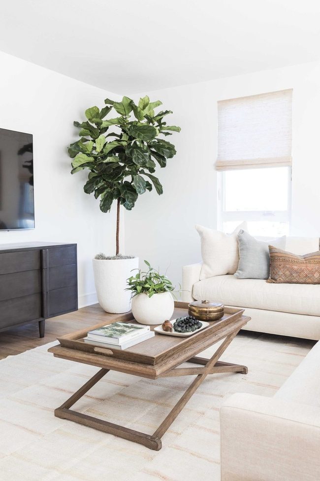 Secondhand Furniture Treasure Hunt