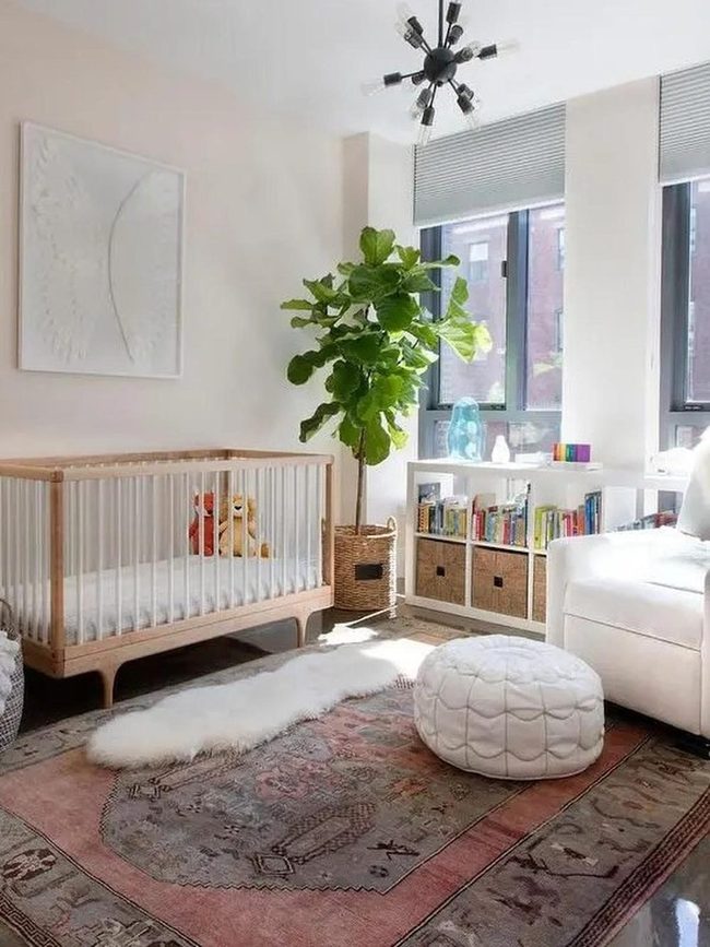 Sunlit Nursery With Green Plants