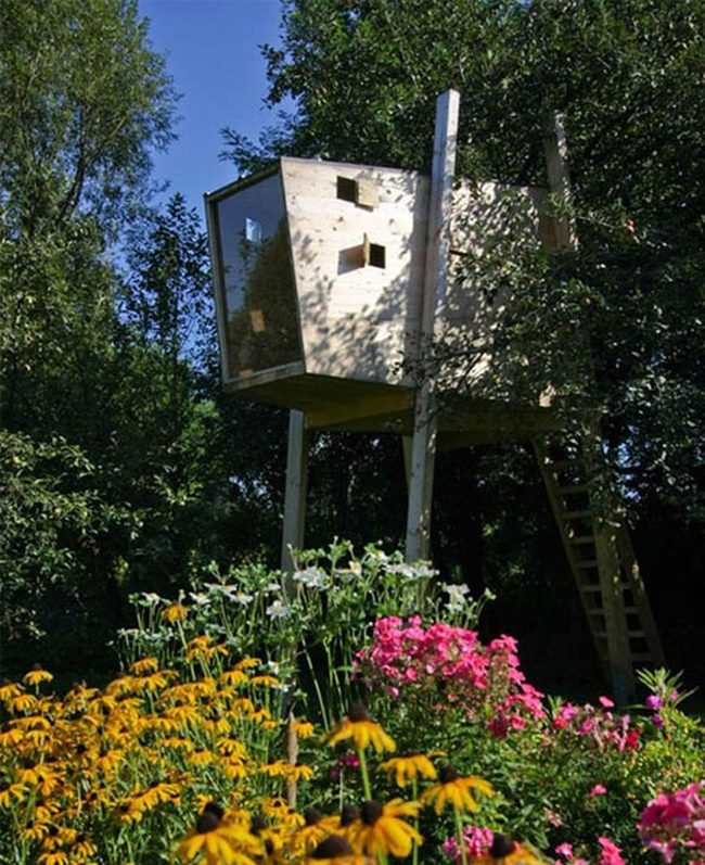 Glass-Framed Treehouse Among Blooms