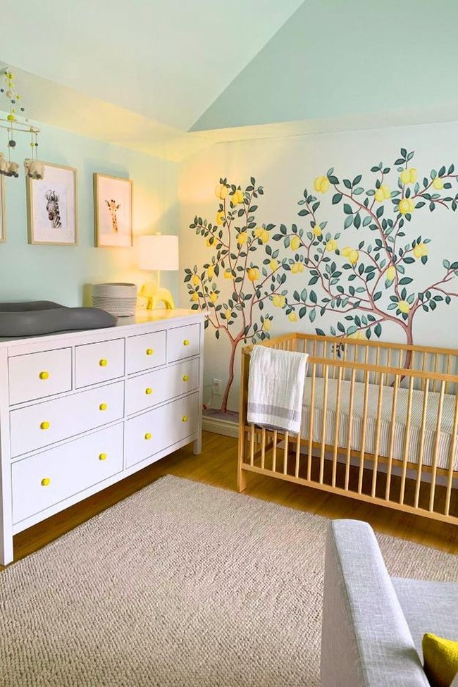 Lemon Tree Yellow Nursery