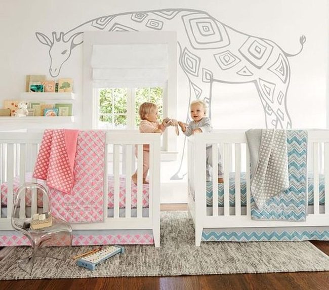 Pink And Blue Twin Nursery