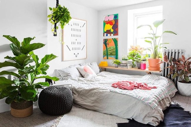 Clean Lines, Timeless Appeal