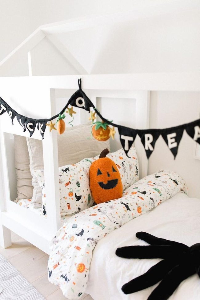 Black Spider, Orange Pumpkin Bed