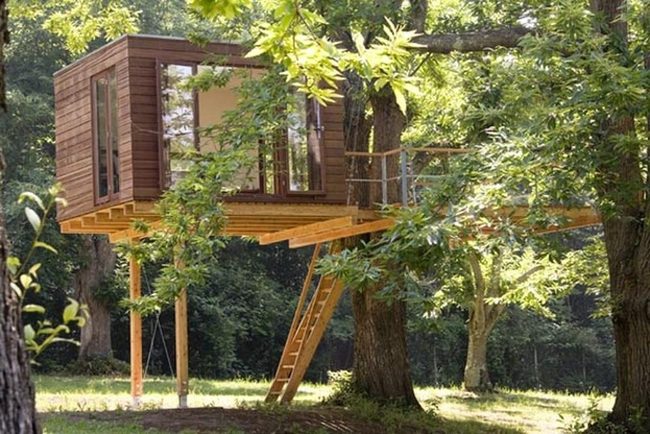 Wooden Treehouse Among Green Leaves