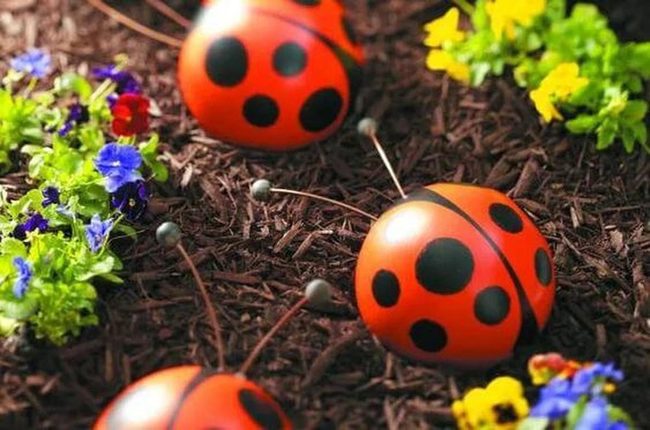 Insects Pollinating Colorful Blooms