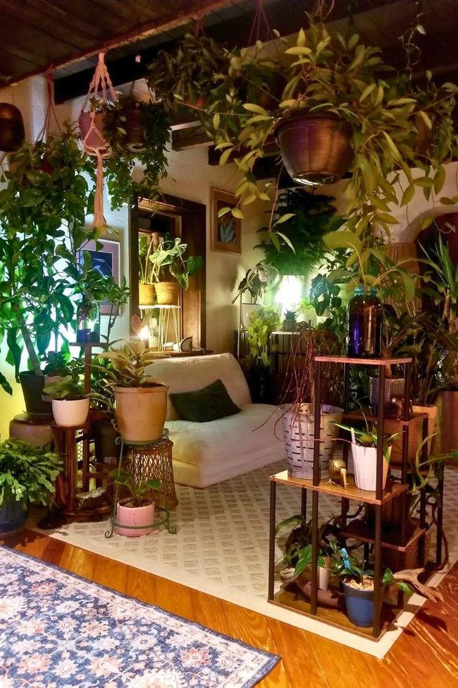 Green Canopy Reading Retreat