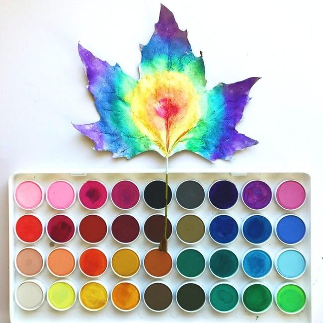 Rainbow Leaf Meets Artist'S Palette