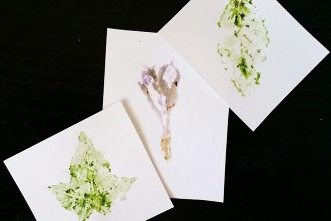 Pressed Leaf White Cards