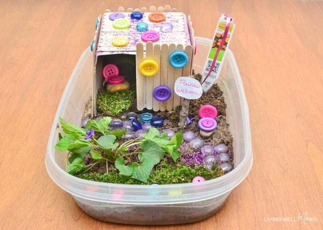 Miniature Moss Garden Wonderland