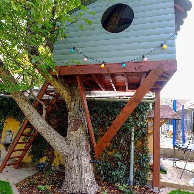 Rainbow Treehouse Imagination Station