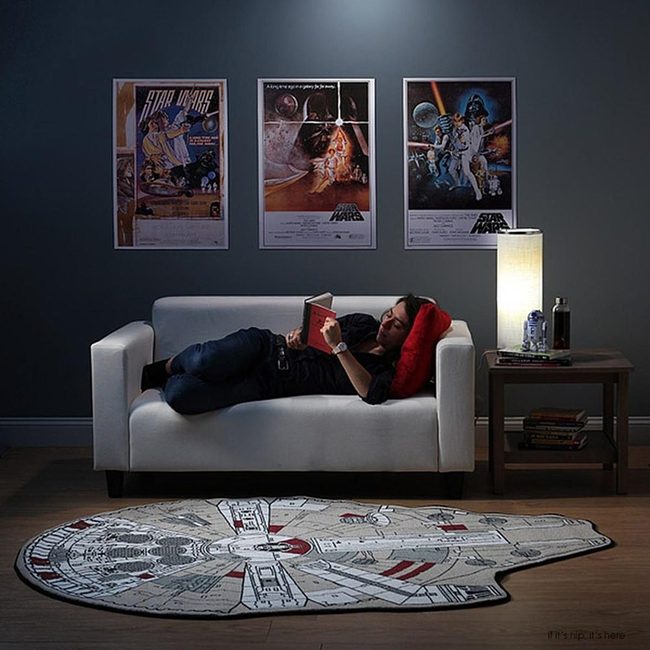 Millennium Falcon Gray Living Space