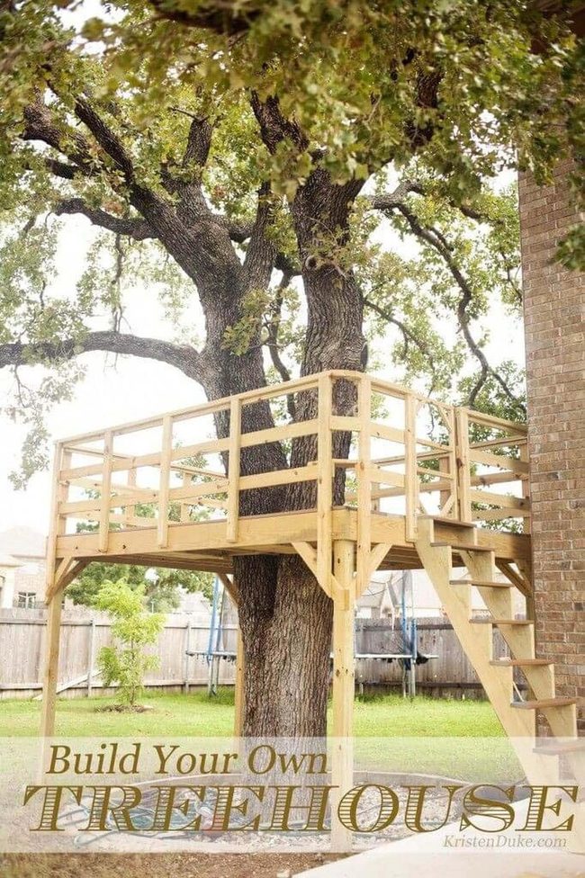 Starlit Treehouse Hideaway