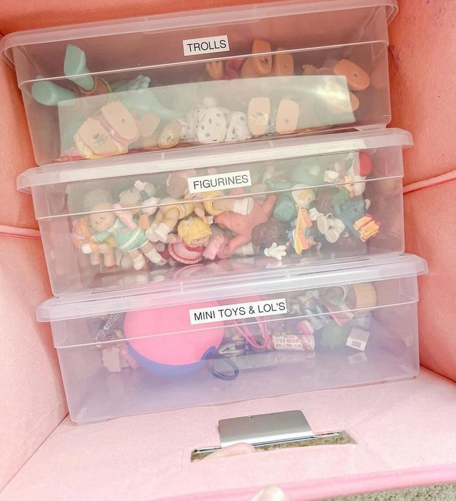 Colorful Bins, Joyful Discovery