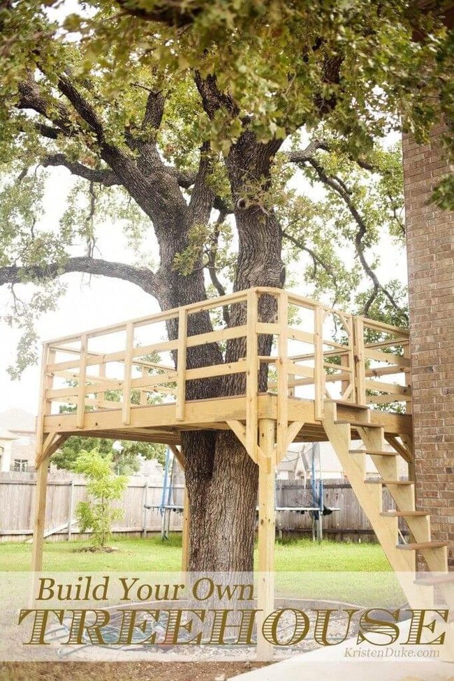 Low-Rise Treehouse With Slide