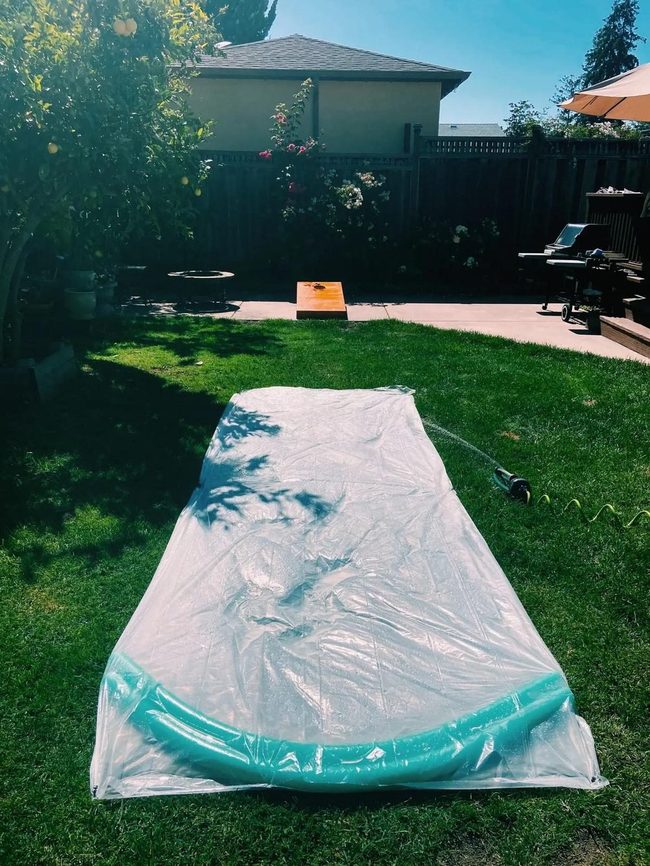 Backyard Splash Zone Lights