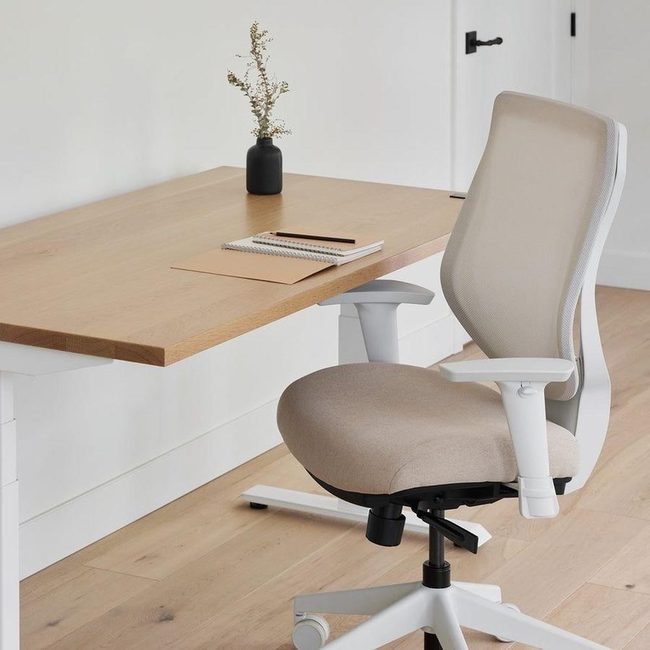 Ergonomic Neutral Office Essential