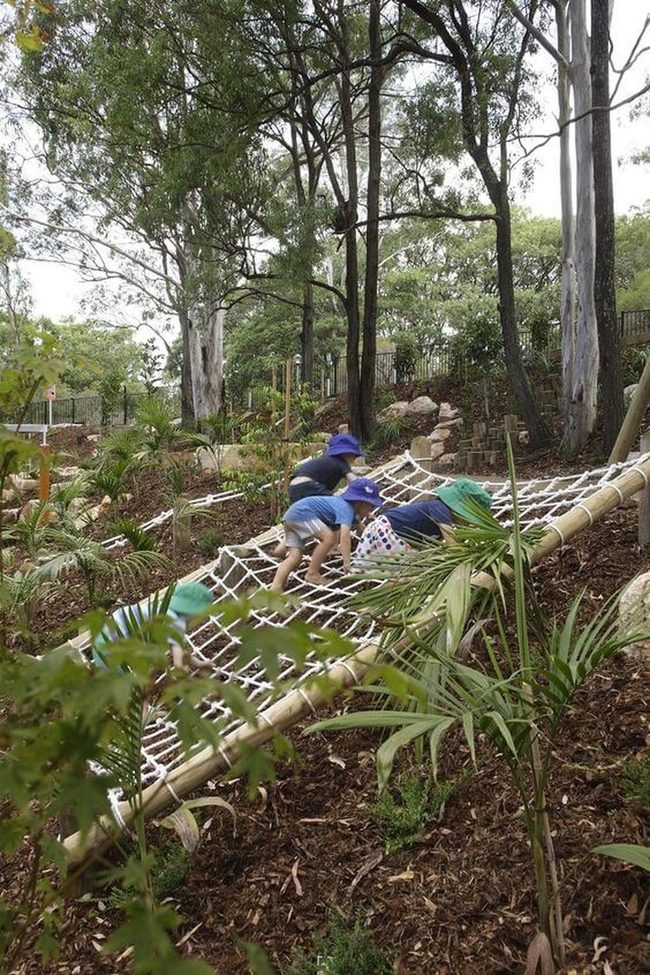 Bamboo Rope Climbing Structure