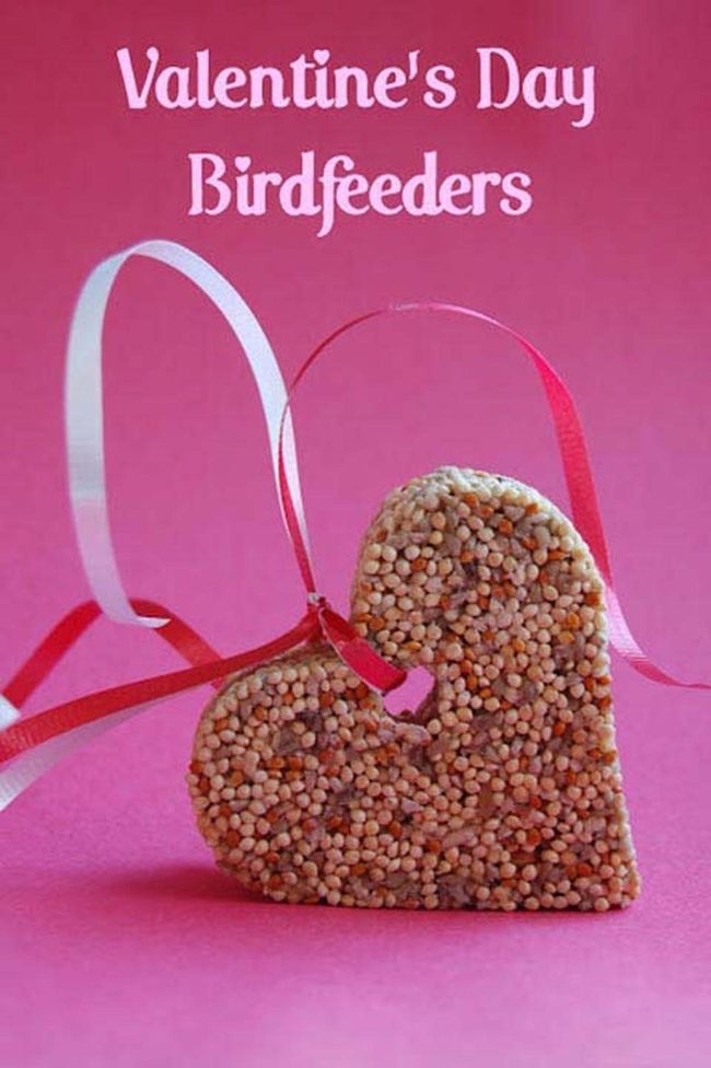Birdseed Hearts Feed Wildlife