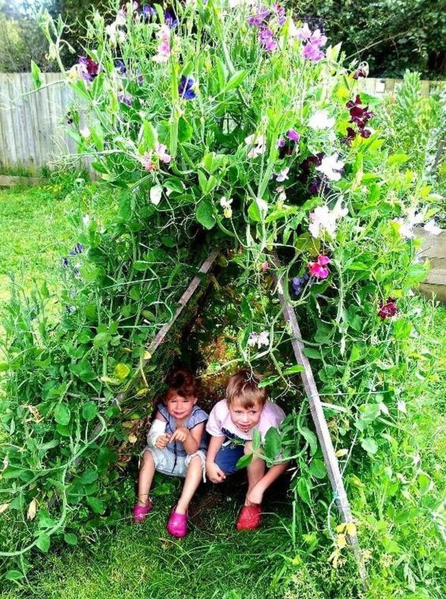 Sweet Pea Flower Retreat