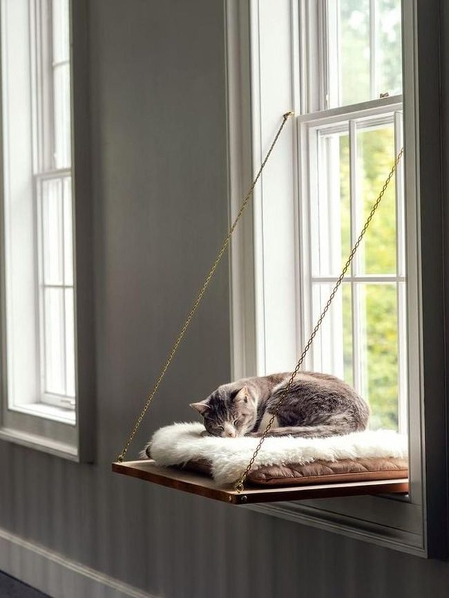 Sunlit Wooden Swing, Sleeping Cat