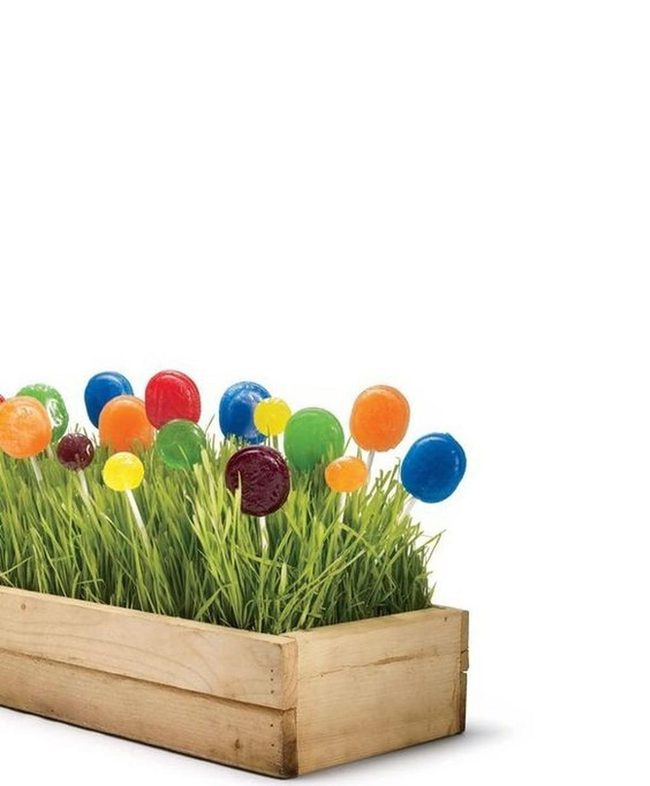 Colorful Lollipops Green Grass Box