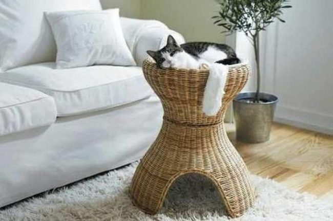 White Sofa, Peaceful Pet Corner