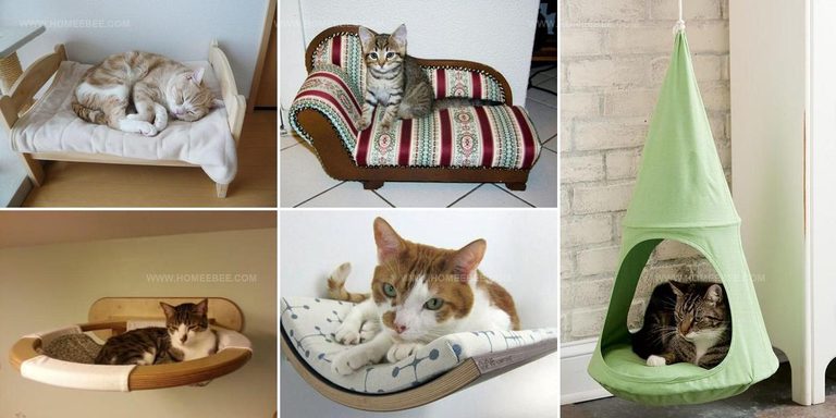 4940996 Cat Bed Ideas