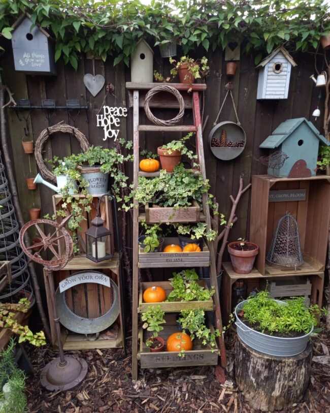 Autumn Ladder Display Featuring Pumpkins
