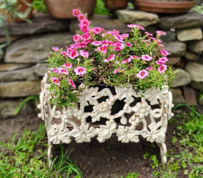 Rustic Cast Iron Planter with Blossoms