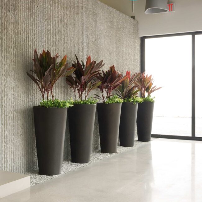 Tall Tapered Planters: A Stylish Decor Choice