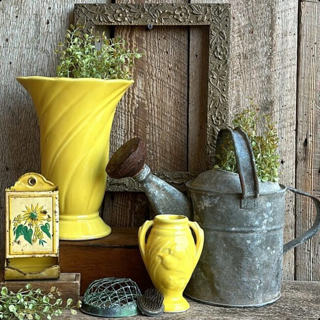 Radiant Yellow Touches in Rustic Gardens