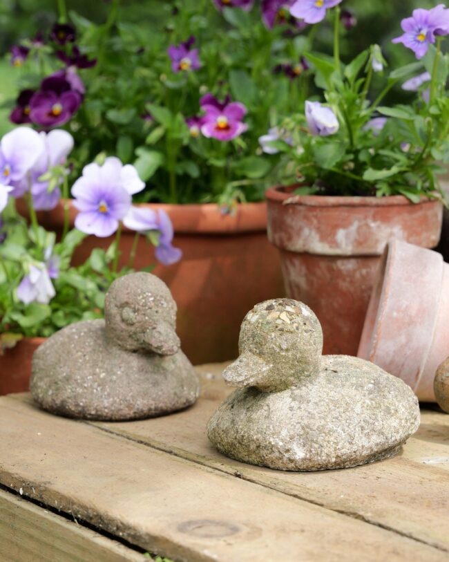 Charming Stone Ducks Surrounded by Blooms