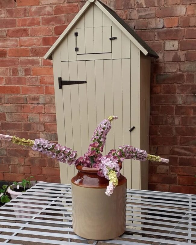 Compact Beige Shed for Limited Areas