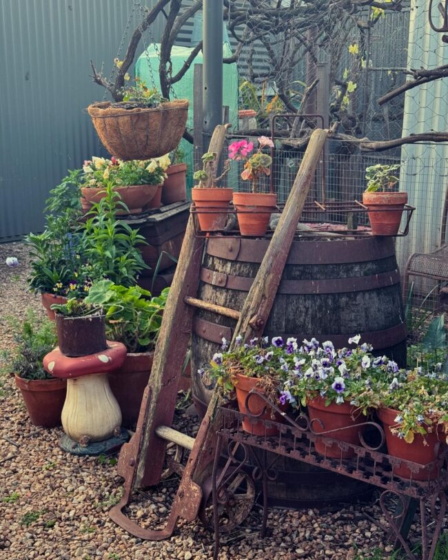 Unique Barrel and Ladder Garden Showcase