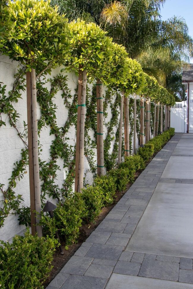 Lush Greenery Surrounds Rustic Barrier