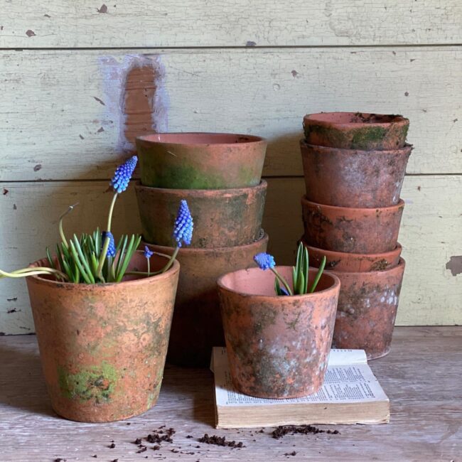 Timeless Clay Pots for Rustic Charm
