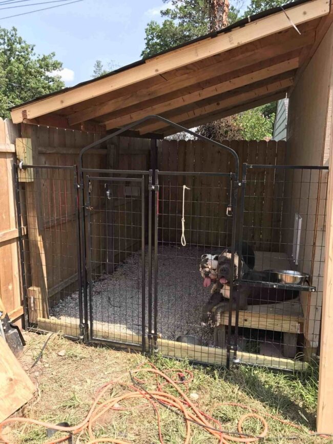 Efficient Lean-To Design for Dog Shelter