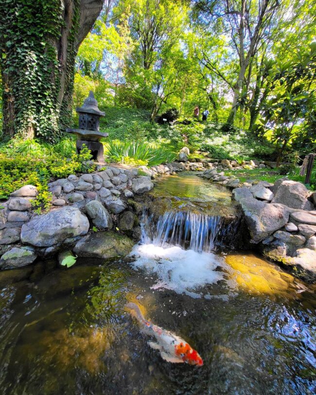 Serene Garden Stream Koi Pond