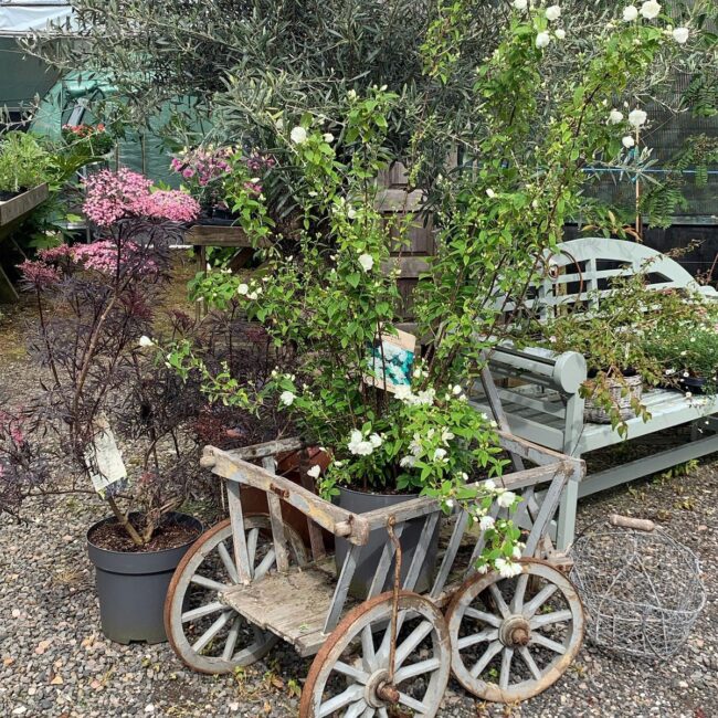 Charming Antique Cart Overflowing with Blooms