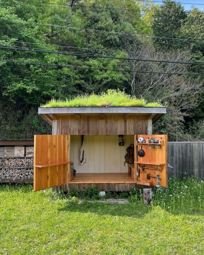 Sustainable Shed Featuring Lush Greenery
