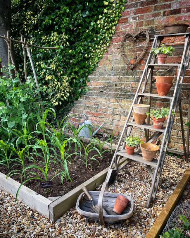 Terracotta Pot Ladder Showcase Ideas