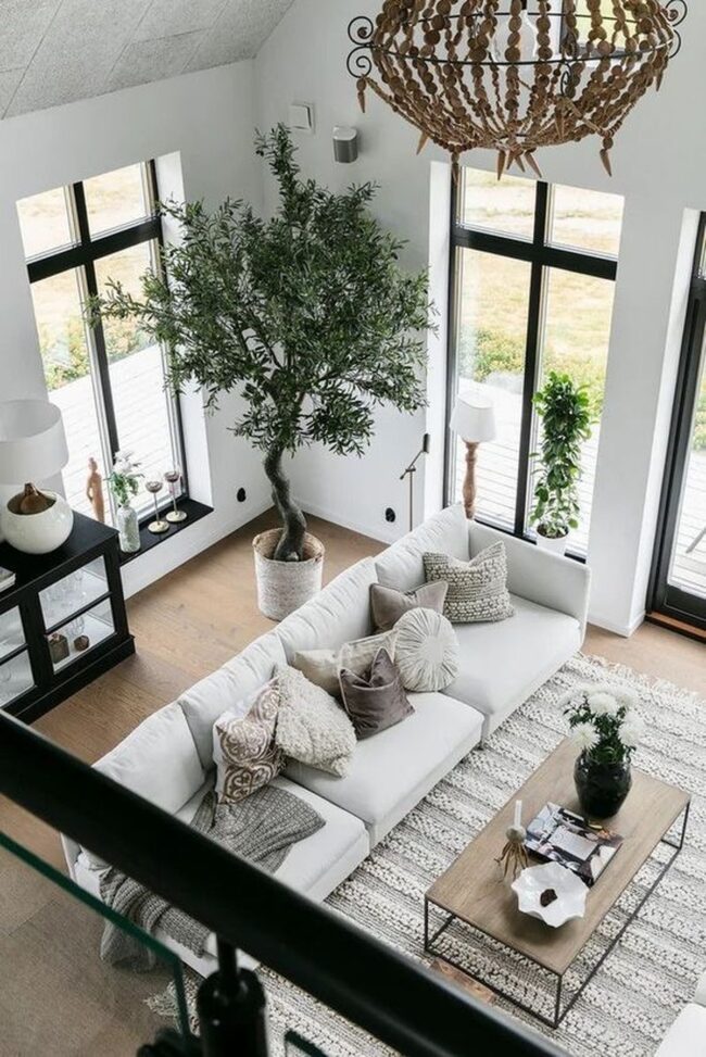 Lush Greenery in Bright Spaces