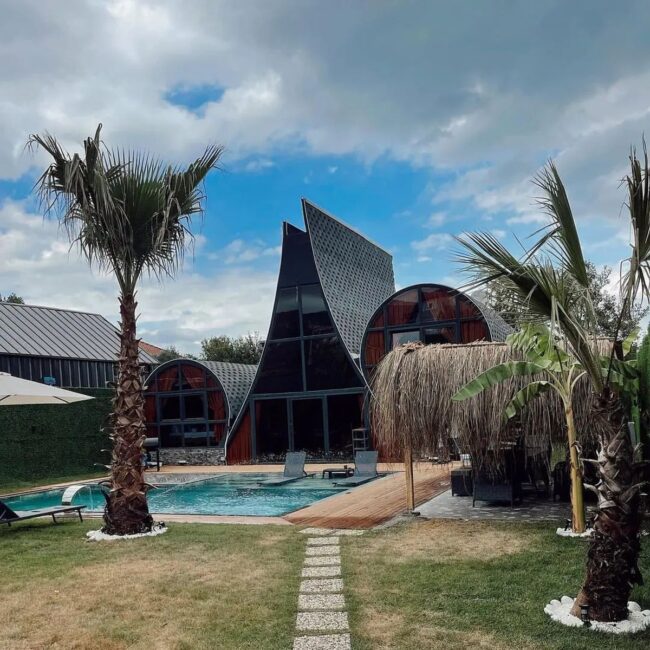 Innovative Shapes Merging Nature and Design