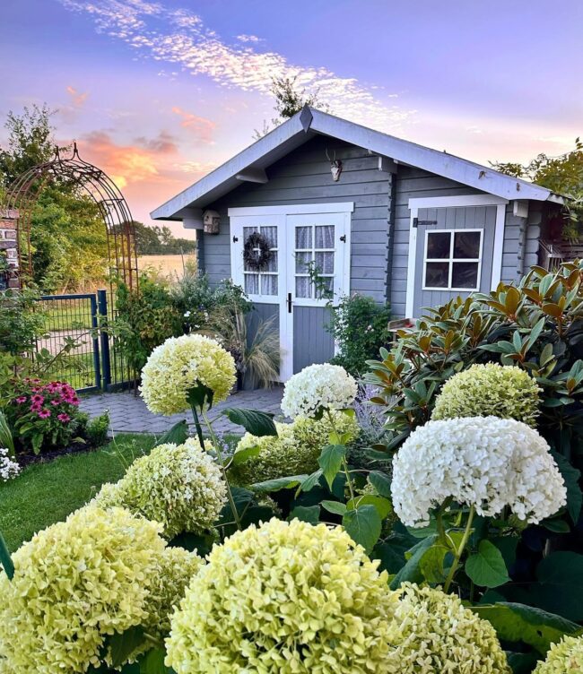 Charming Gray Shed Surrounded by Blooms
