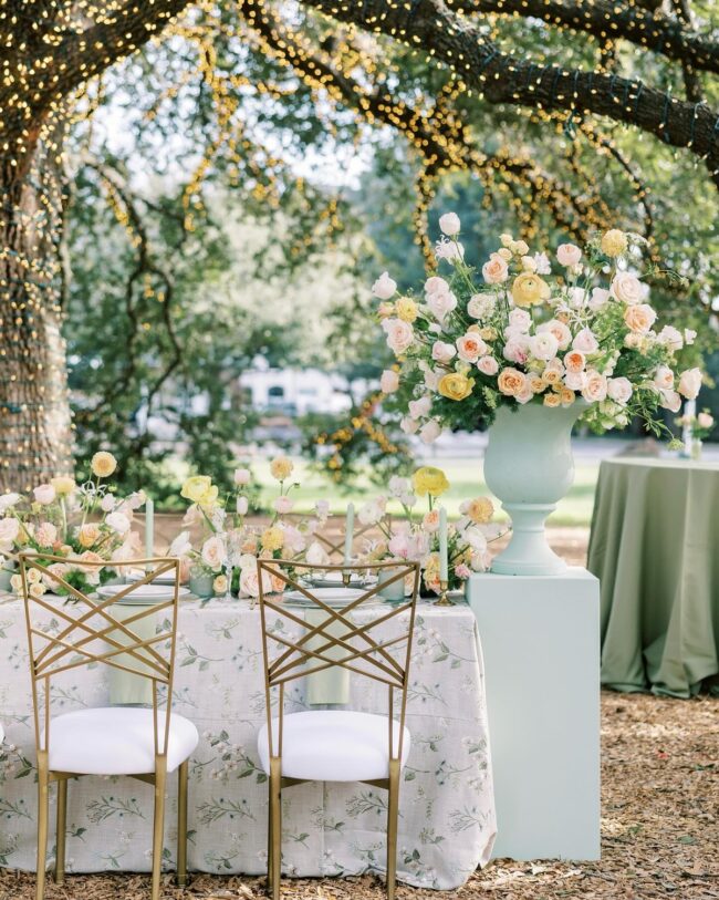 Enchanting Nights Under Twinkling Lights