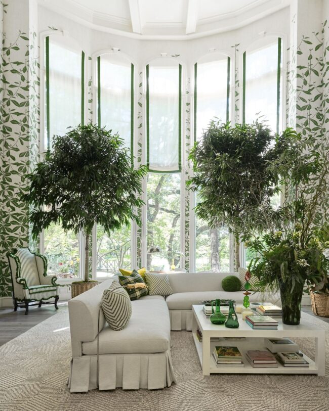 Biophilic Design for Inviting Spaces