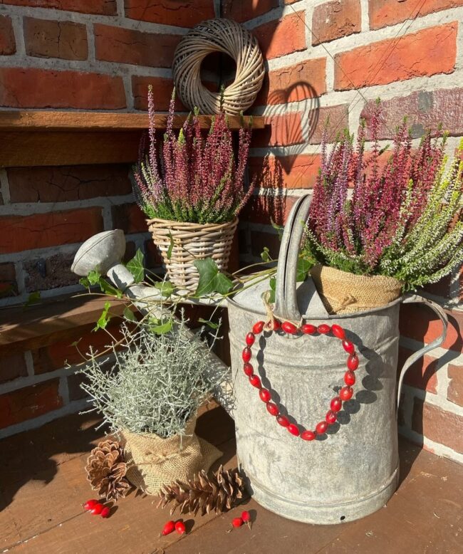 Charming Heather and Berry Heart Display