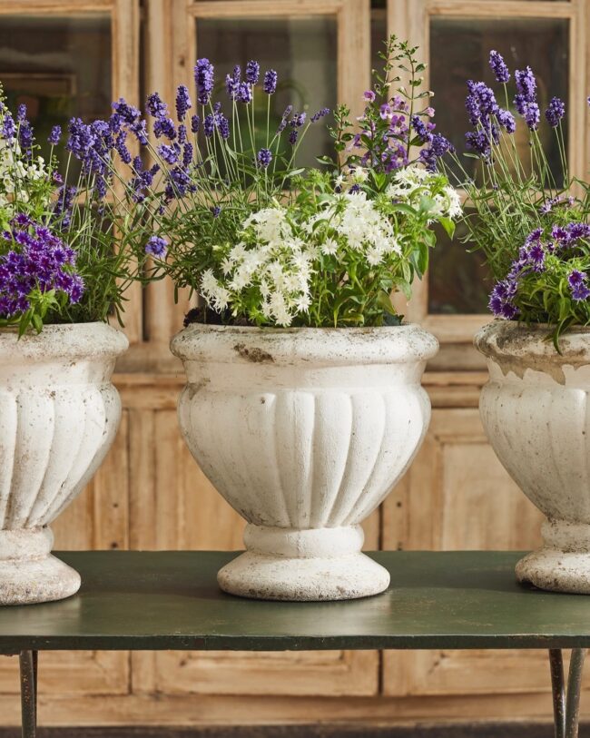 Classic Charm of Vintage Planters